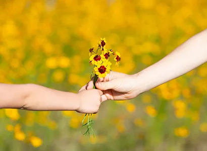 A close-up of one hand giving a small bouquet of yellow wildflowers to another hand, set against a blurred field of yellow flowers.
