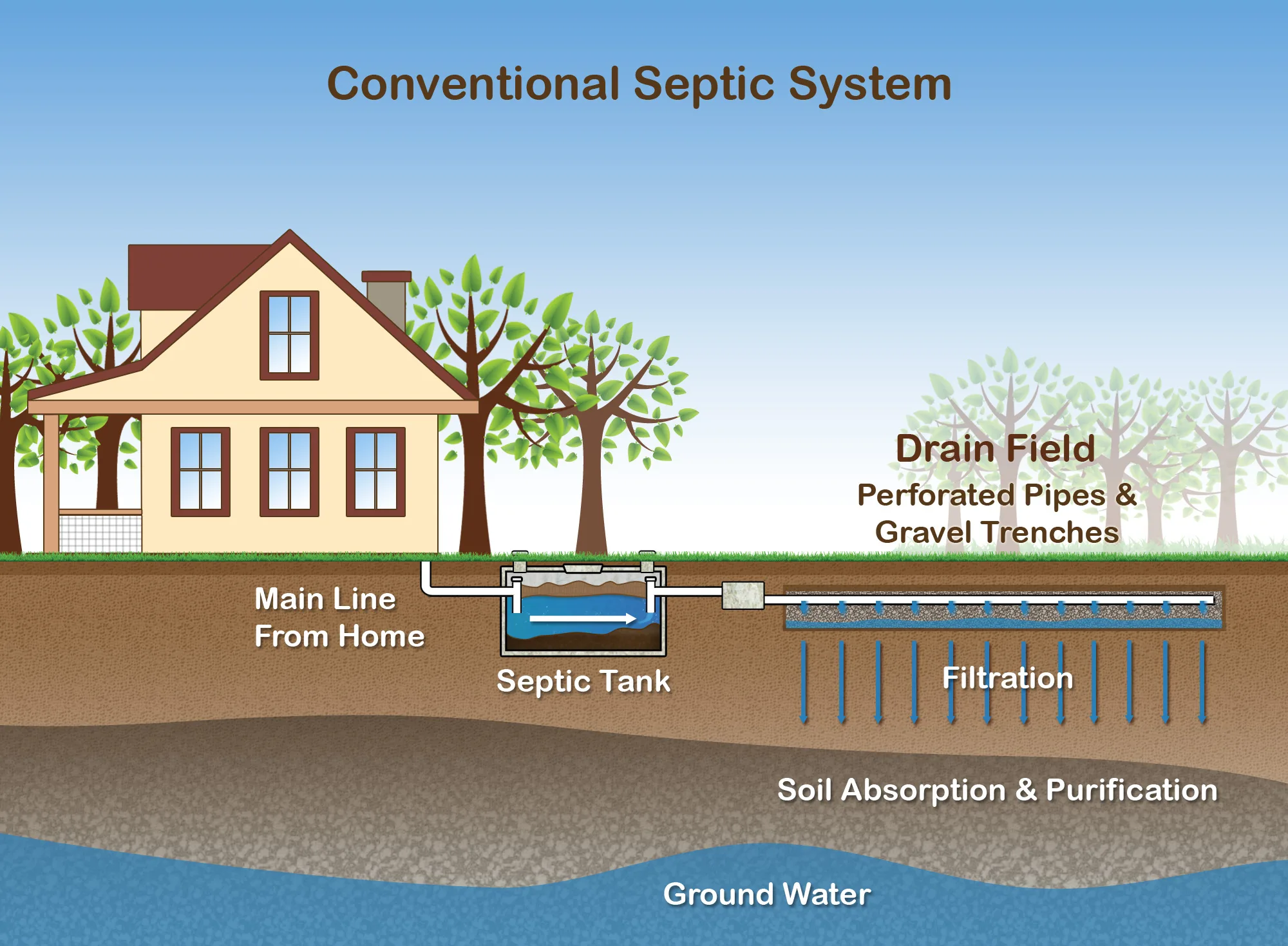 Diagram of a house with a septic system, showing wastewater flowing from the house to a septic tank, then through perforated pipes in a drain field, where soil absorbs and purifies water before it reaches groundwater.