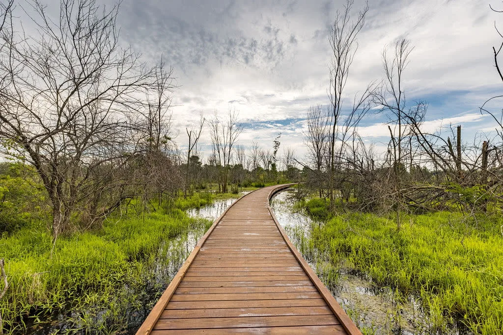 A wooden boardwalk curves through a marshland with green grass, water, and leafless trees under a cloudy sky.