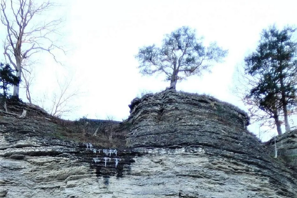 A rocky cliff with horizontal layers, topped by a few trees. Some icicles hang from an overhang, and the sky above is pale and overcast. Sparse vegetation is visible around the rocks.