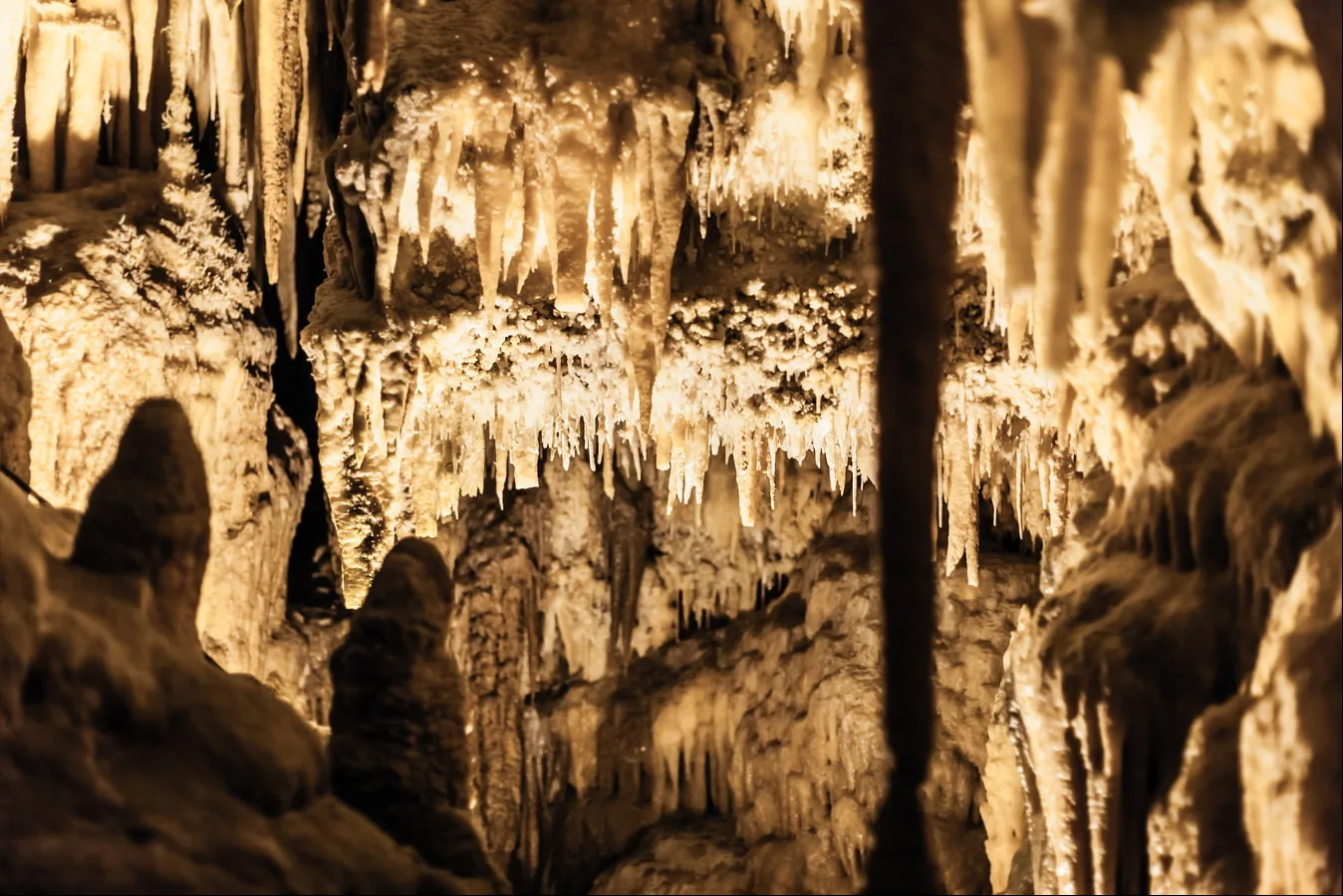 A close-up view of a cave ceiling and floor covered in pointed stalactites and stalagmites, illuminated by warm, golden light.