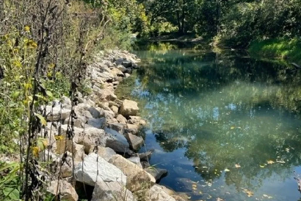 A calm stream with clear blue water flows alongside a rocky bank and dense green vegetation, under a canopy of leafy trees on a sunny day.